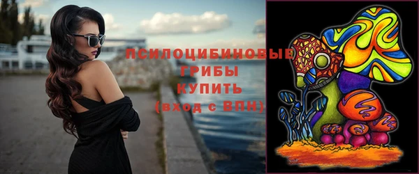 экстази Дмитров