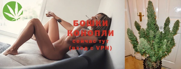гидра Дмитриев