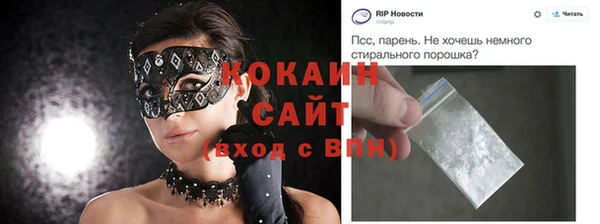 твердый Ельня