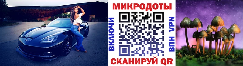 Псилоцибиновые грибы прущие грибы  гидра рабочий сайт  Вязники  где можно купить  